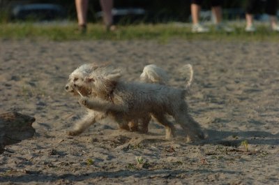 June24_07_058.JPG