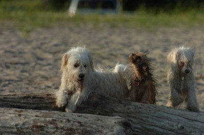 June24_07_060.JPG