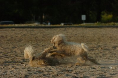 June24_07_083.JPG
