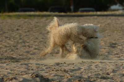 June24_07_086.JPG