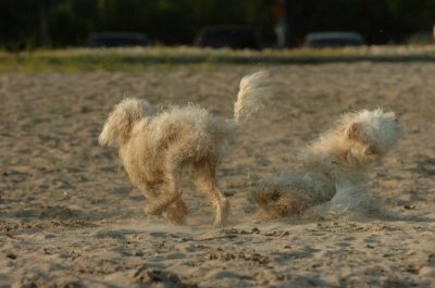 June24_07_087.JPG