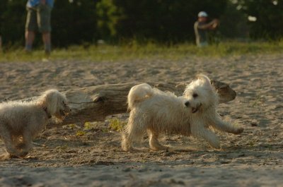 June24_07_094.JPG