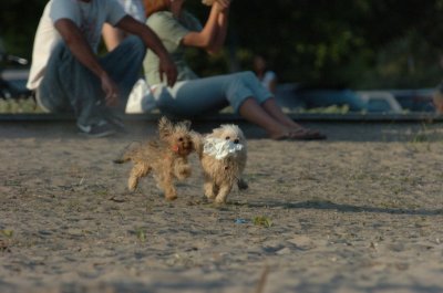 June24_07_119.JPG