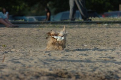 June24_07_120.JPG