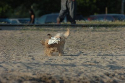 June24_07_121.JPG