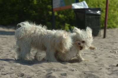June25_07_562.JPG