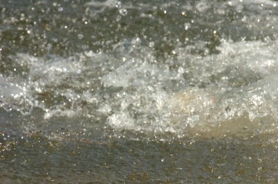 June25_07_675.JPG
