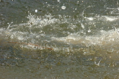 June25_07_677.JPG