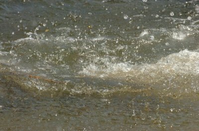 June25_07_678.JPG