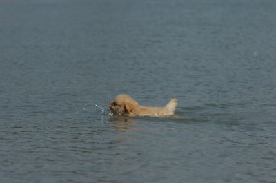 June27_07_876.JPG