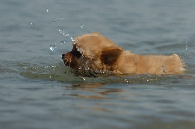 June27_07_884.JPG