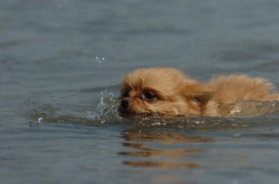 June27_07_887.JPG