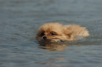 June27_07_888.JPG