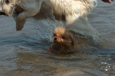 June27_07_898.JPG