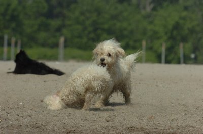 June27_07_704.JPG