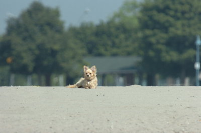 June27_07_719.JPG