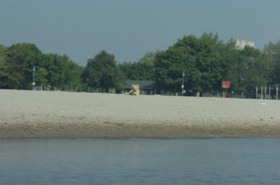 June27_07_720.JPG