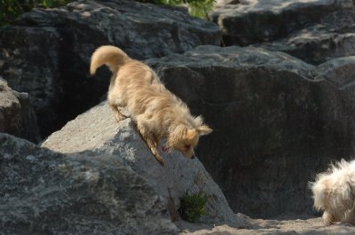 June27_07_736.JPG