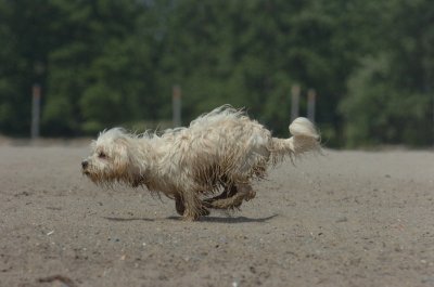 June27_07_768.JPG