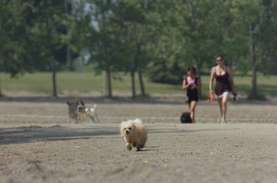 June27_07_788.JPG