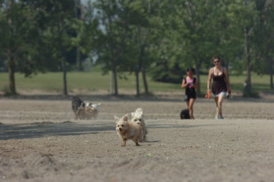 June27_07_789.JPG