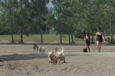 June27_07_791.JPG
