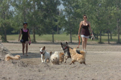June27_07_794.JPG