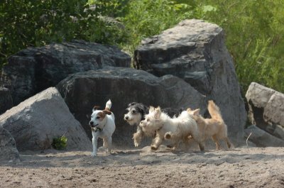 June27_07_796.JPG
