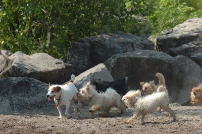 June27_07_797.JPG