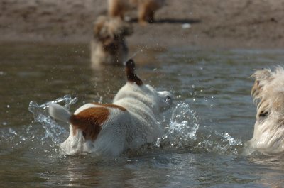 June27_07_807.JPG