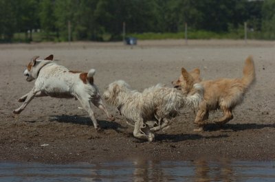 June27_07_816.JPG