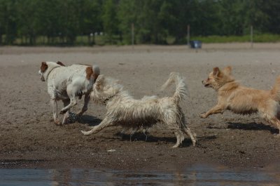 June27_07_817.JPG