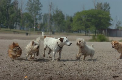 June27_07_818.JPG