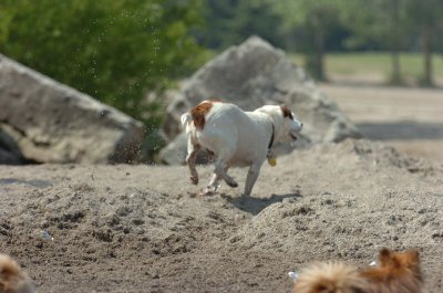 June27_07_828.JPG