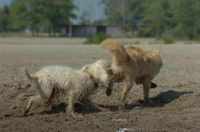 June27_07_532.JPG