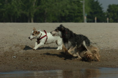 June27_07_125.JPG