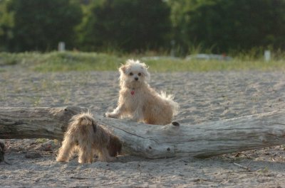 June24_07_095.JPG
