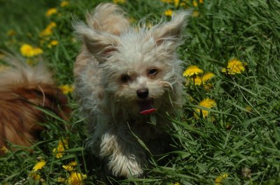 May13_07_122.JPG