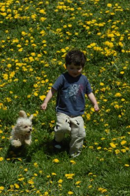 May13_07_370.JPG