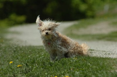 May13_07_677.JPG