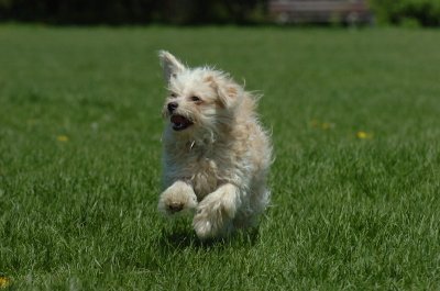 May19_07_083.JPG