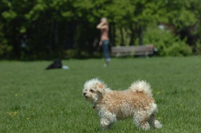 May19_07_175.JPG