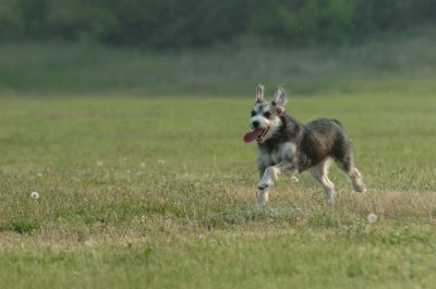 June2_07_012.JPG
