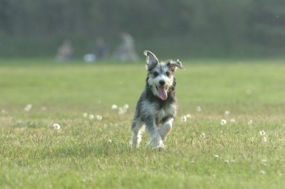 June2_07_026.JPG
