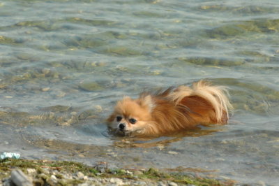 Sept6_07_384.JPG
