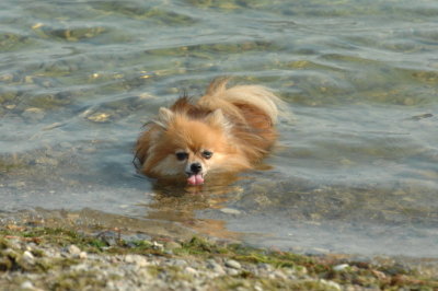 Sept6_07_385.JPG