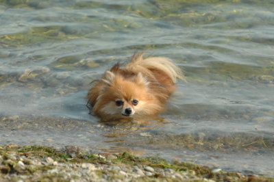 Sept6_07_386.JPG