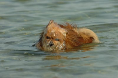 Sept6_07_069.JPG