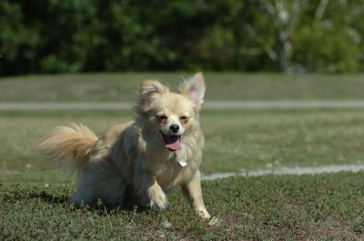 Sept13_07_002.JPG