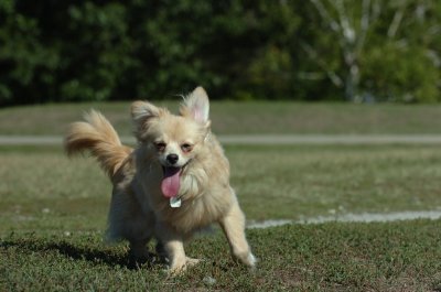 Sept13_07_003.JPG